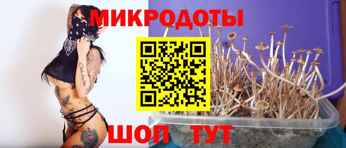 Приморско-Ахтарск  сколько стоит  Вход с VPN  Галлюциногенные грибы GOLDEN TEACHER 